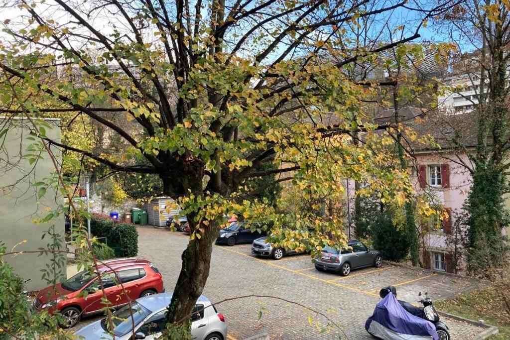 Parking & Appartement 2 Pieces Sans Traffic Lausanne Luaran gambar